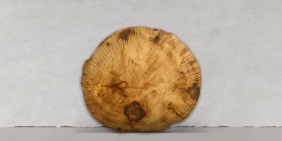  morepicThumb-1